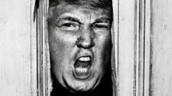 Heeere's Donny! Meme Template