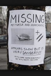 Missing Turtle Meme Template