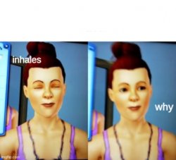 Just why Meme Template