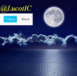 LucotIC Announcement 1 Meme Template
