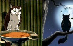Cat Owl Meme Template