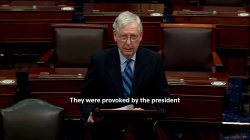 Mitch McConnell they were provoked by the president Meme Template