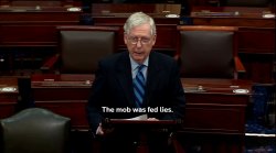 Mitch McConnell the mob was fed lies Meme Template