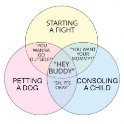 Venn diagram starting a fight petting a dog consoling a child Meme Template