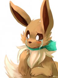 Crying Eevee Meme Template