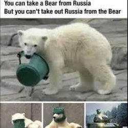 russia bear Meme Template