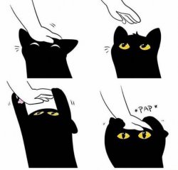 cat pap Meme Template