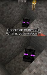 Enderman Of the Soil Meme Template