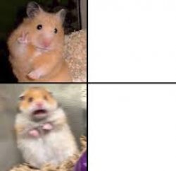 scared hamster Meme Template