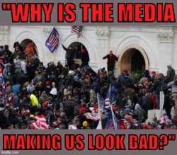 MAGA riot why is the media making us look bad Meme Template