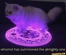 Whomst has summoned the almighty one Meme Template