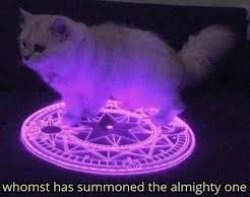 Whomst has summoned the almighty one Meme Template