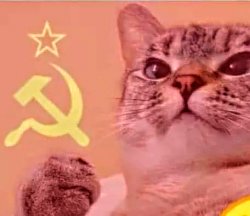 Communism Cat Meme Template