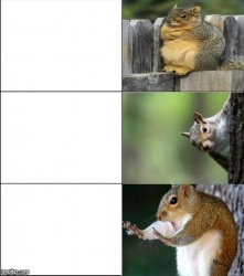 Squirrel meme Meme Template