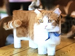 minecraft cat Meme Template