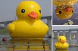 big duck Meme Template