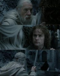 Gandalf and Pippin Meme Template