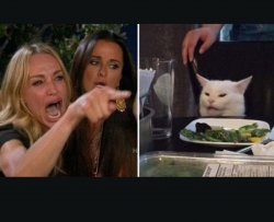 Woman/Cat Meme Template