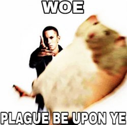 Woe Plague Be Upon Ye Meme Template