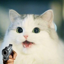 cat holding a gun Meme Template