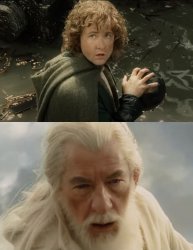 pippin gandalf i'll take that my lad Meme Template