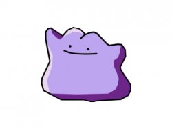 ditto in a nutshell Meme Template