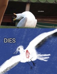 Inhales, Dies Meme Template