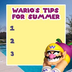 warios tips for summer Meme Template