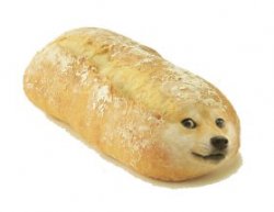 Breb Doge Meme Template