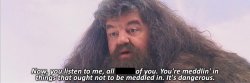 Hagrid Meme Template