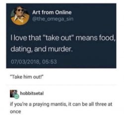 Cursed Praying mantis Meme Template