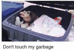 Don't touch my garbage Meme Template
