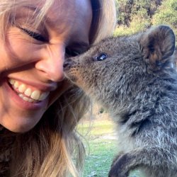 Kylie wombat Meme Template