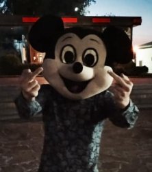 Flipping Mickey Meme Template