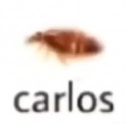 carlos Meme Template