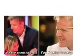 Gordon Ramsay Meme Template