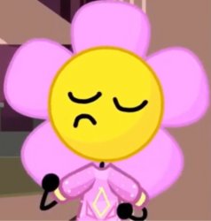Flower bfb dosent care about you all cause he is dancing Meme Template