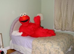 Elmo ready for bed Meme Template