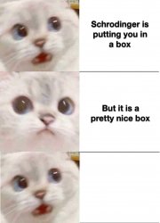 shrodinger 3 pane react Meme Template