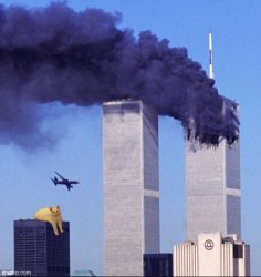 Twin towers and cat Meme Template