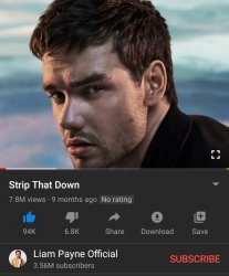 Strip that down Liam Payne Meme Template