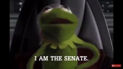Kermit i am the senate Meme Template