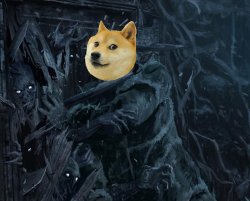 HODL THE DOGE Meme Template