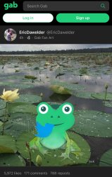 Gab Twitter Meme Template