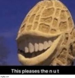 yes Meme Template