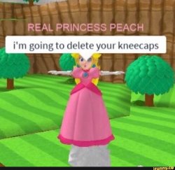 Princess peach isn't have you're shit... Meme Template