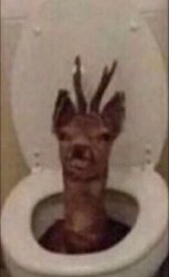 deer in toilet Meme Template