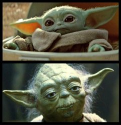 young old yoda Meme Template