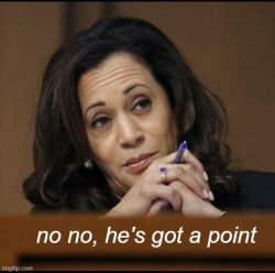 Kamala Harris no no he's got a point Meme Template