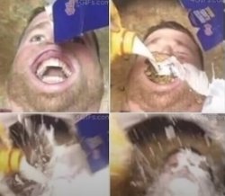 NOM NOM Meme Template